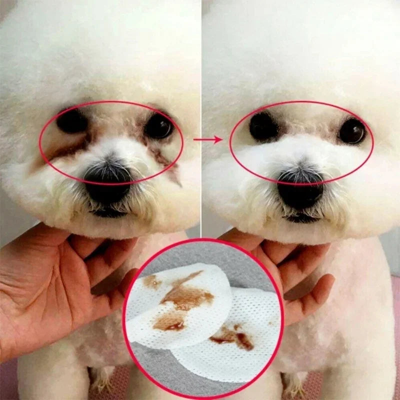 Pet Eye Cleaning Wipes