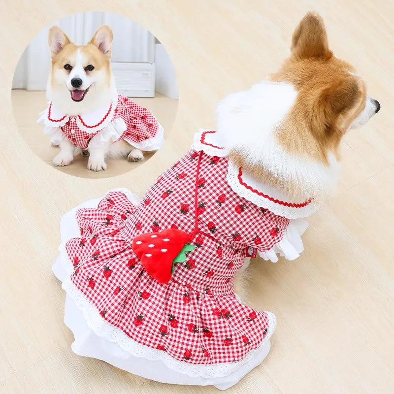 Strawberry Dress