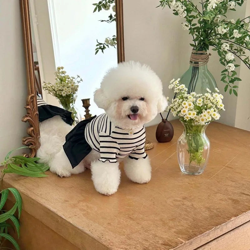 Striped Dog Vest Dress for Small Dogs