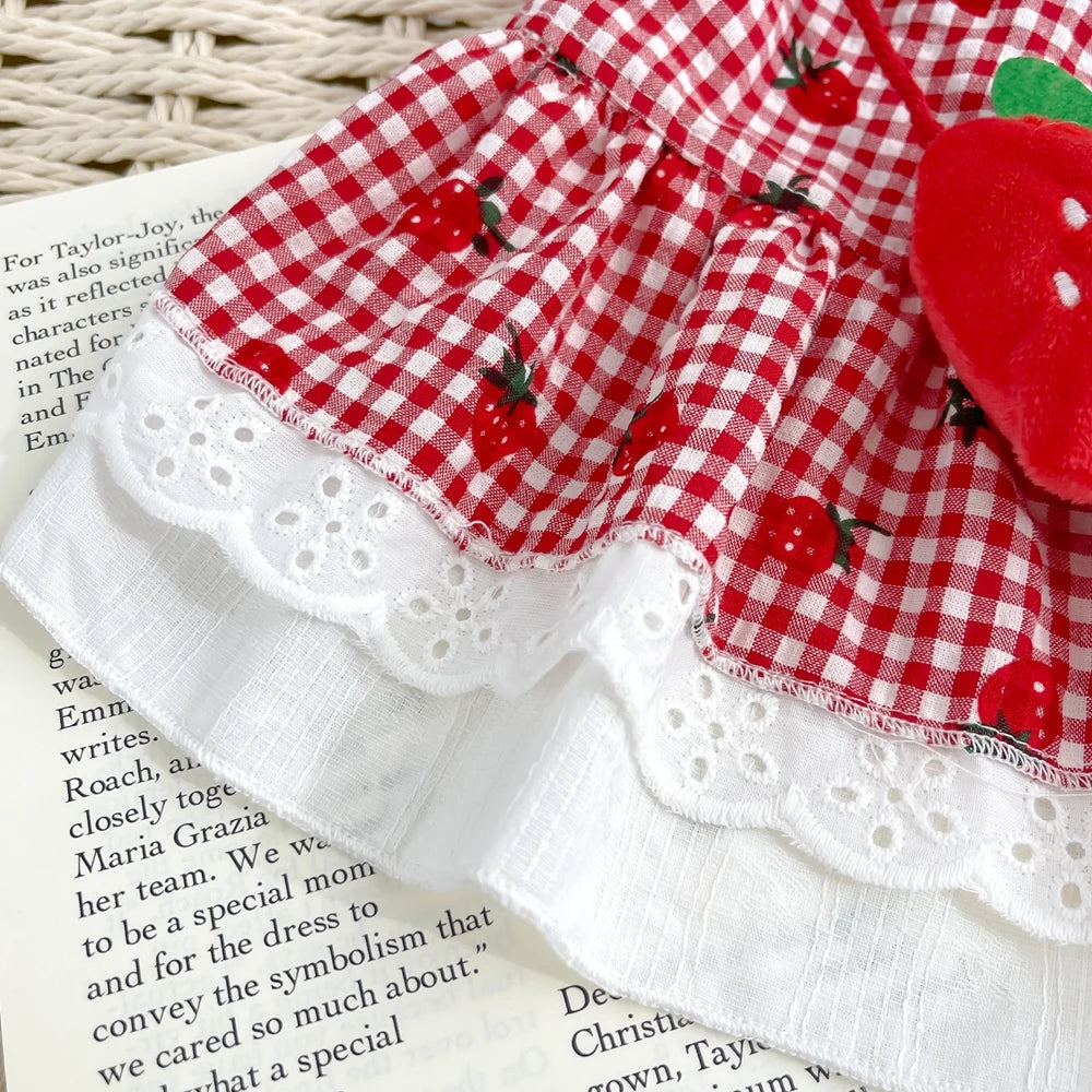 Strawberry Dress