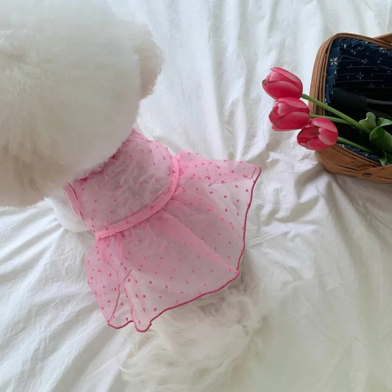 Cute Dog Dress Cherry Strawberry