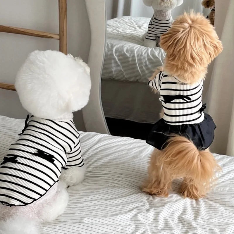 Striped Dog Vest Dress for Small Dogs