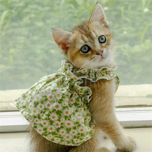 cat Princess dress  with Suspender Skirt