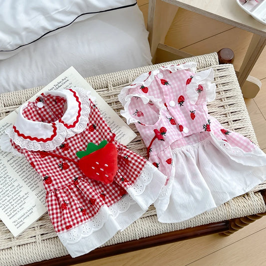 Strawberry Dress
