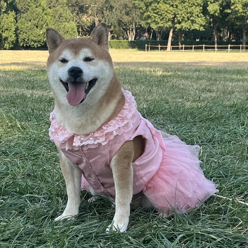 Large Dog Wedding Dress
