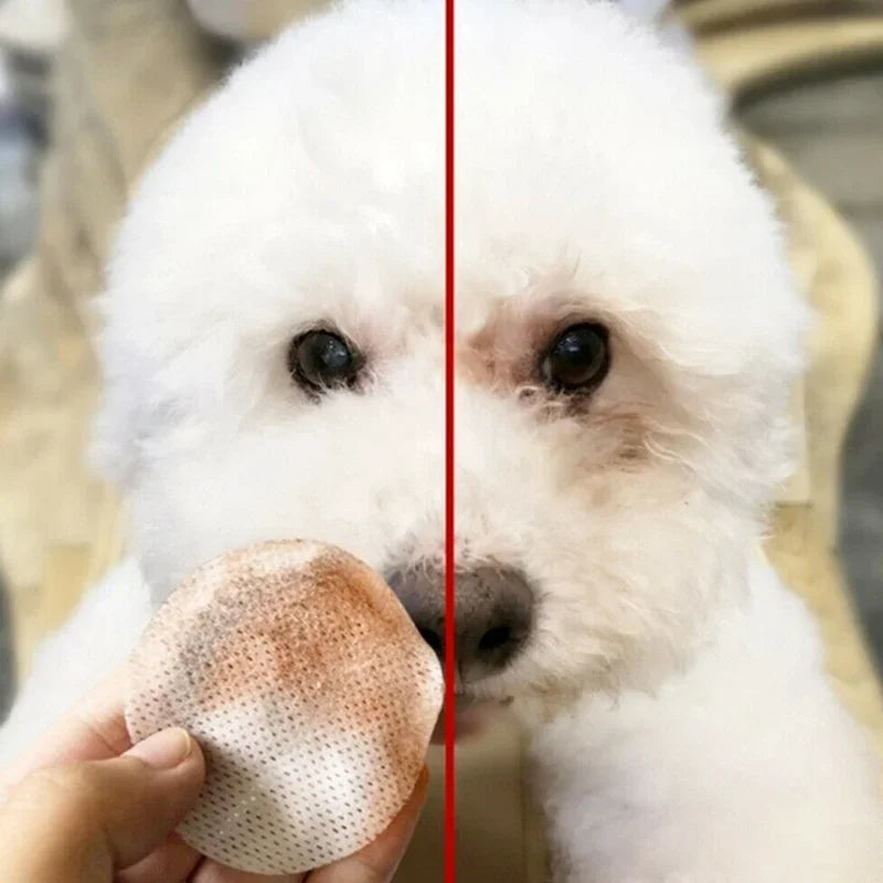 Pet Eye Cleaning Wipes