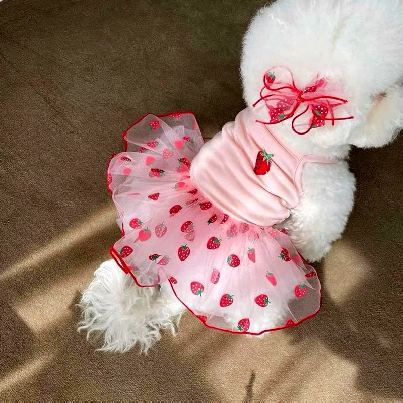 Cute Dog Dress Cherry Strawberry