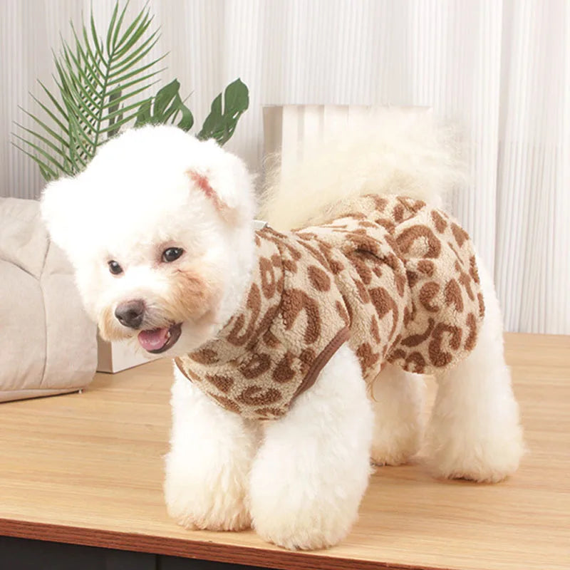 Leopard Dog Coat