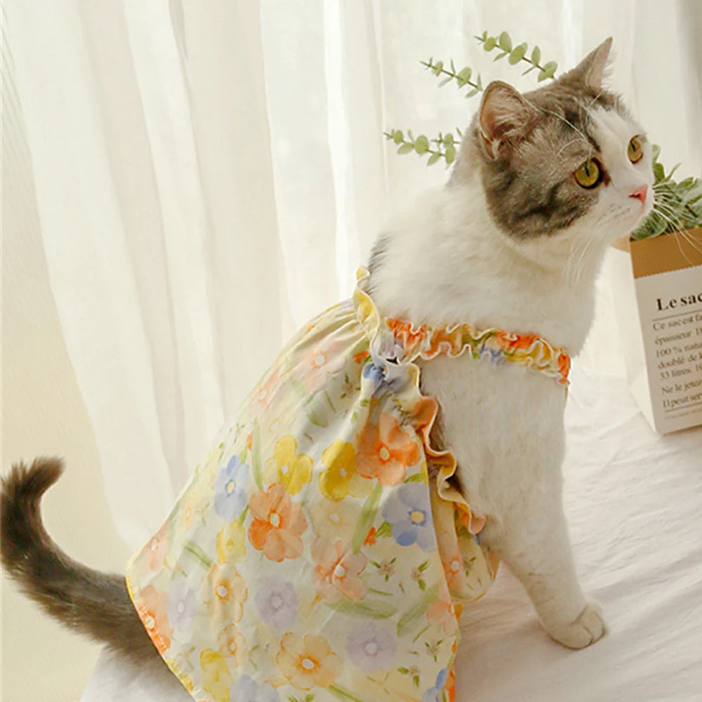 cat Princess dress  with Suspender Skirt