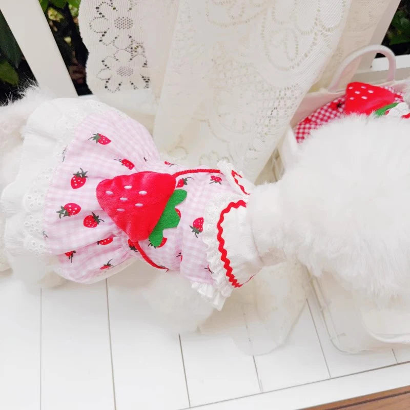 Strawberry Dress